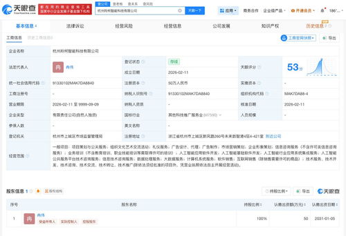 靠AI年营收150万的一人公司 人工智能应用软件开发揭秘